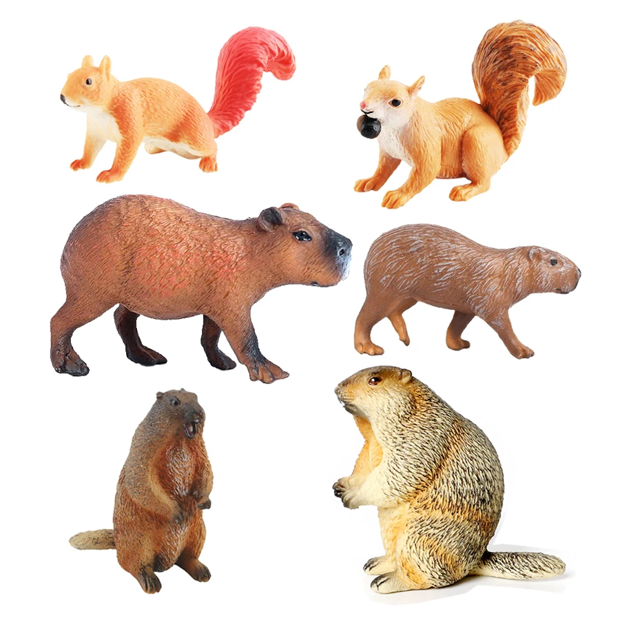 Capibara Capybaras wiewiórka m – Kids Toys Reviews recenzja i cena