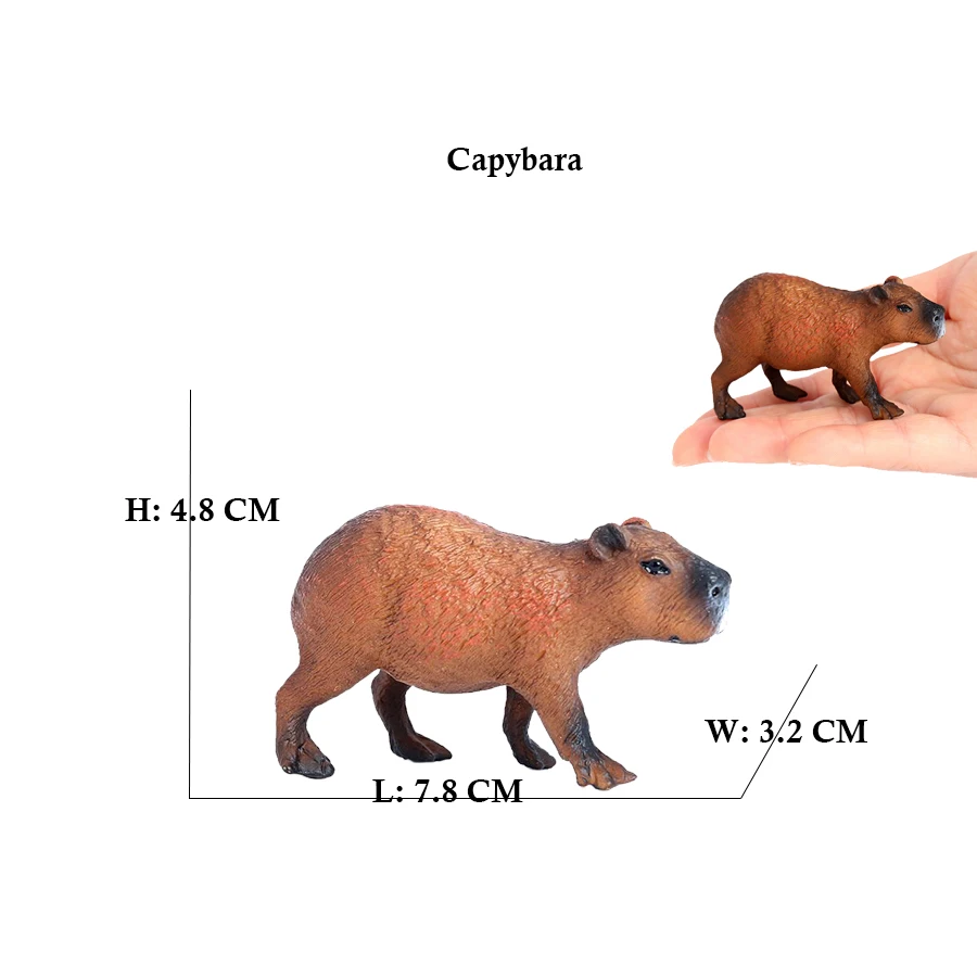 Capibara Capybaras wiewiórka m – Kids Toys Reviews recenzja i cena