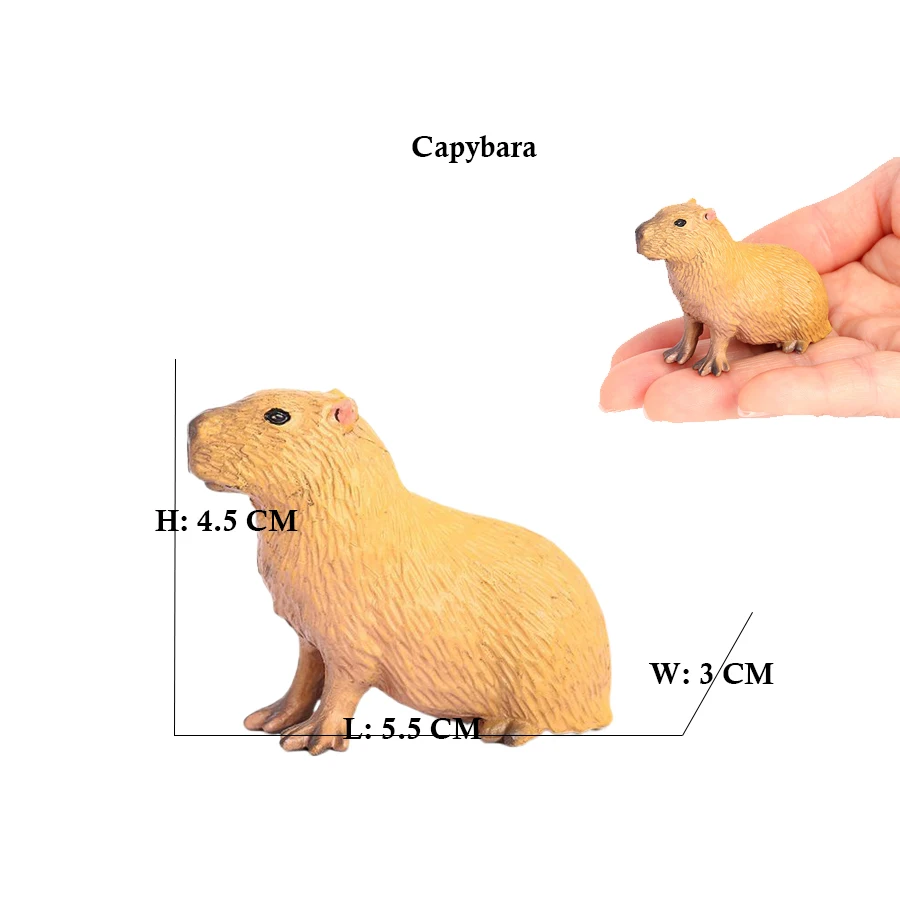 Capibara Capybaras wiewiórka m – Kids Toys Reviews recenzja i cena