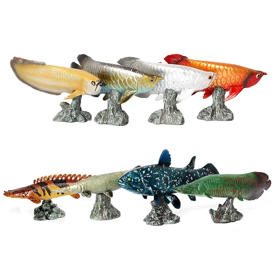Arowana Pirarucu Coelacanth Bi – Kids Toys Reviews recenzja i cena