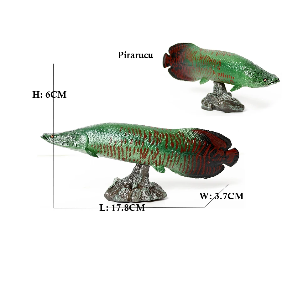 Arowana Pirarucu Coelacanth Bi – Kids Toys Reviews recenzja i cena