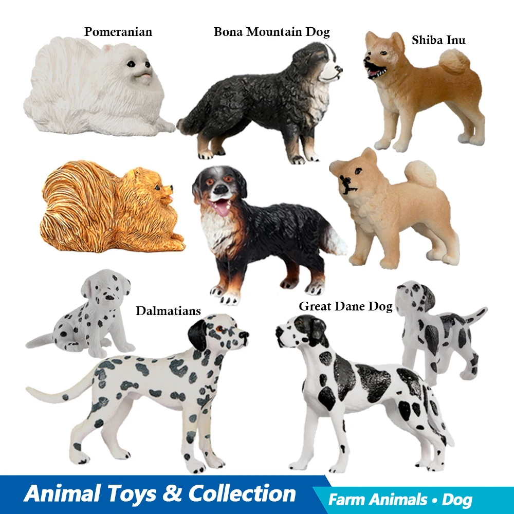 Labrador pudel Rottweiler Bona – Kids Toys Reviews recenzja i cena